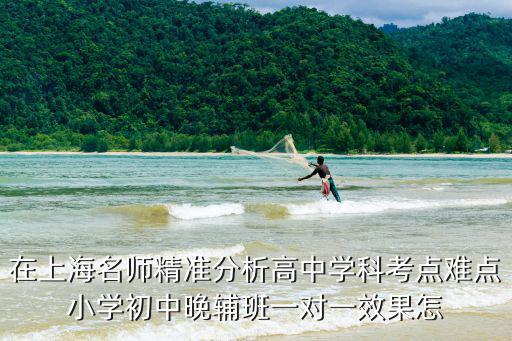 在上海名師精準分析高中學科考點難點小學初中晚輔班一對一效果怎