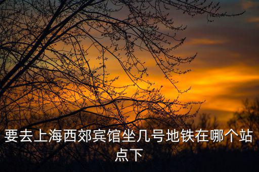 西郊賓館，要去上海西郊賓館坐幾號地鐵在哪個站點下