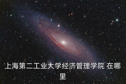 上海第二工業大學經濟管理學院 在哪里