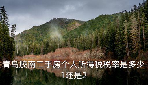 青島膠南二手房個人所得稅稅率是多少1還是2