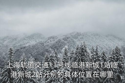 臨港站，天津市臨港工業(yè)區(qū)供氣站