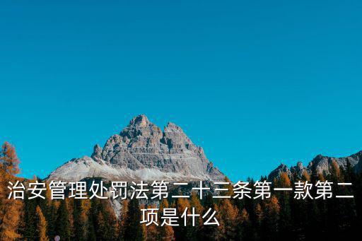 治安管理處罰法第二十三條第一款第二項是什么