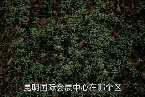 昆明國際會展中心在哪個區