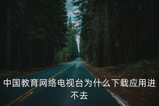 中國教育網絡電視臺為什么下載應用進不去