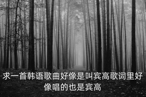 賓高，求一首韓語歌曲好像是叫賓高歌詞里好像唱的也是賓高