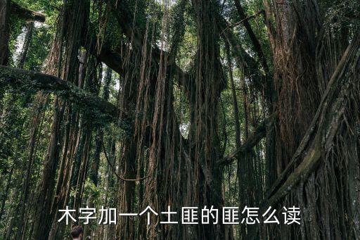 木匪念什么，詩經(jīng)木瓜中的匪到底讀什么 一聲還是三聲 好讀三聲