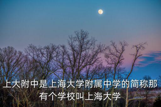 上大附中，上大附中是上海大學附屬中學的簡稱那有個學校叫上海大學