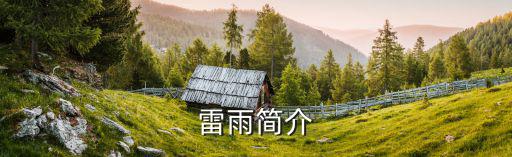 雷雨簡介，雷雨主要內容及概括