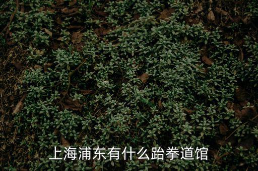上海浦東有什么跆拳道館