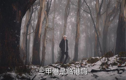 三甲港是臨港嗎