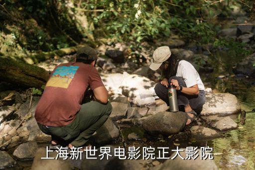 上海新世界電影院正大影院
