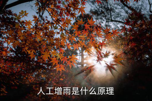 人工增雨是什么原理