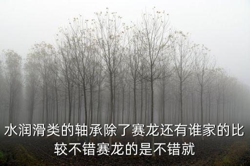 上海軸承展，水潤滑類的軸承除了賽龍還有誰家的比較不錯賽龍的是不錯就