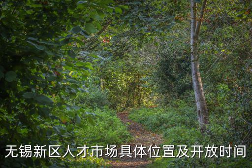 無錫新區人才市場具體位置及開放時間