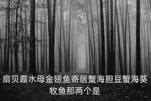 扇貝霞水母金翅魚寄居蟹海膽豆蟹海葵牧魚那兩個是