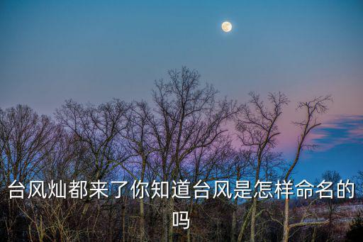 臺風燦都，燦都是哪里
