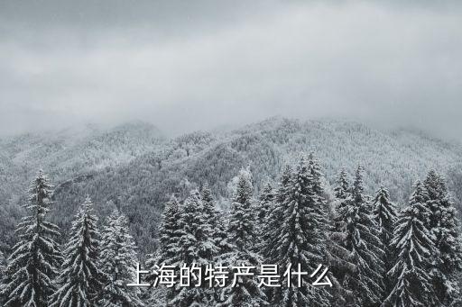上海的特產(chǎn)是什么