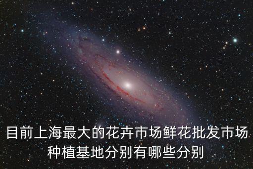 目前上海最大的花卉市場鮮花批發市場種植基地分別有哪些分別
