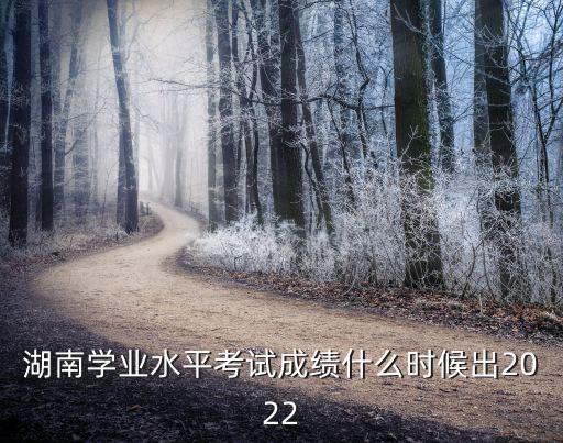 湖南學業水平考試成績什么時候出2022