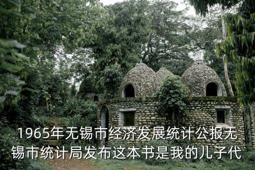1965年無(wú)錫市經(jīng)濟(jì)發(fā)展統(tǒng)計(jì)公報(bào)無(wú)錫市統(tǒng)計(jì)局發(fā)布這本書是我的兒子代