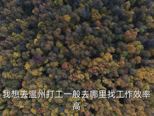 我想去溫州打工一般去哪里找工作效率高