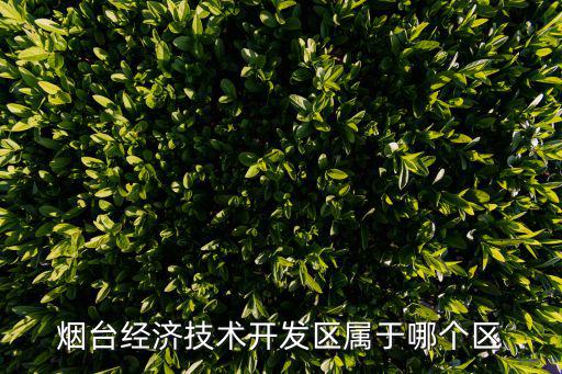 煙臺經濟，煙臺經濟技術開發區屬于哪個區