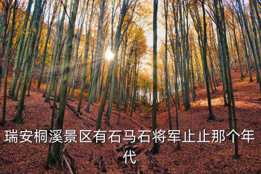 瑞安桐溪景區(qū)有石馬石將軍止止那個年代