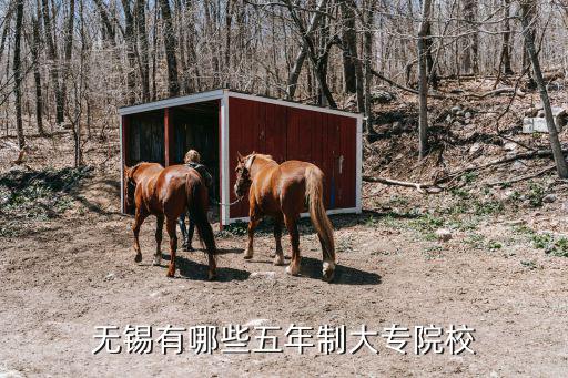 無錫有哪些五年制大專院校