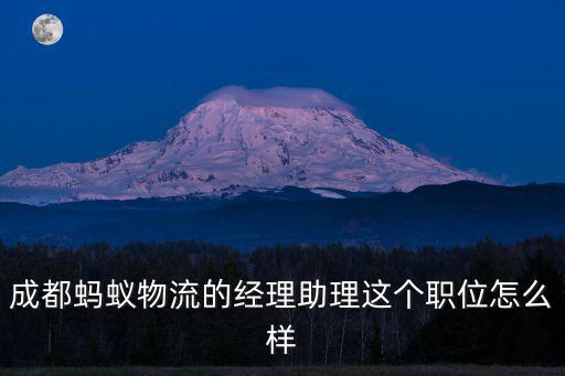 成都螞蟻物流的經理助理這個職位怎么樣