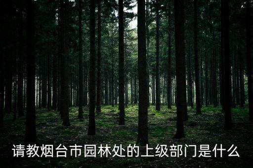 煙臺市城市管理局，請教煙臺市園林處的上級部門是什么