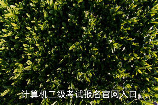 計算機二級考試報名官網入口