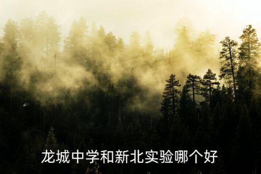 龍城中學和新北實驗哪個好