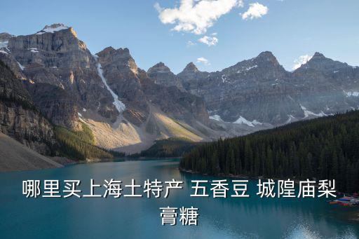 哪里買上海土特產 五香豆 城隍廟梨膏糖