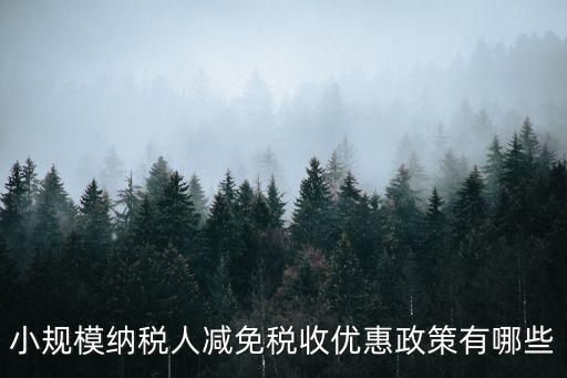 小規模納稅人減免稅收優惠政策有哪些