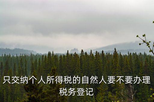 只交納個人所得稅的自然人要不要辦理稅務登記