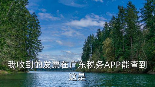 廣東稅務app，廣東省地方稅務局發票在線應用系統