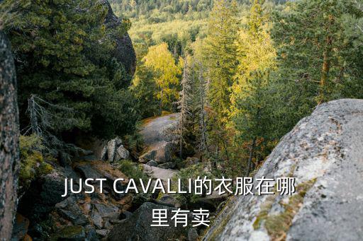 justcavalli，半圓延伸出去一個(gè)弧度是什么品牌