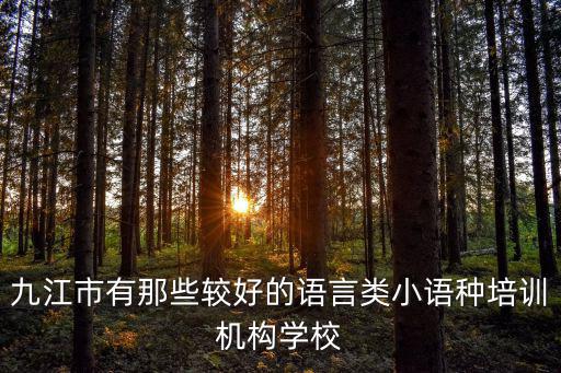 培訓園，九江市有那些較好的語言類小語種培訓機構(gòu)學校
