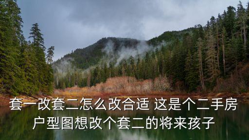 套一改套二怎么改合適 這是個二手房戶型圖想改個套二的將來孩子
