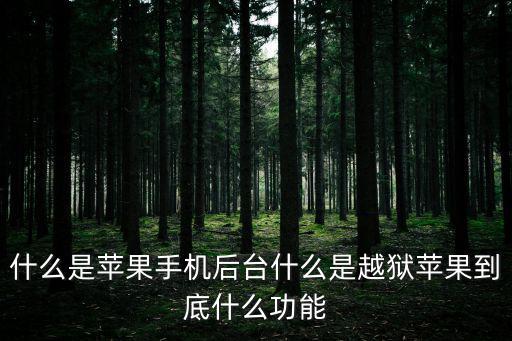 什么是蘋果手機后臺什么是越獄蘋果到底什么功能