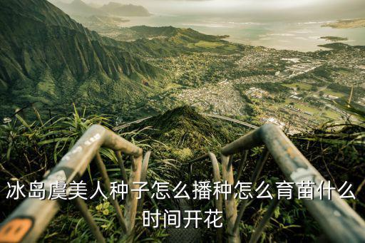 冰島虞美人種子怎么播種怎么育苗什么時間開花