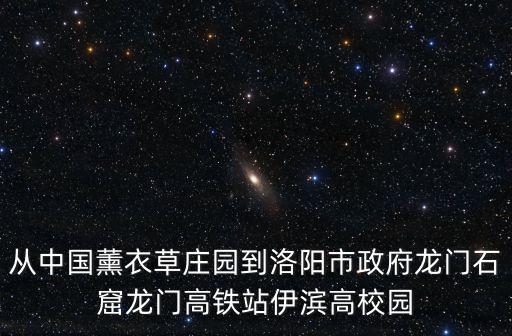 從中國薰衣草莊園到洛陽市政府龍門石窟龍門高鐵站伊濱高校園