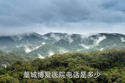 博愛醫(yī)院電話，佛山九江博愛醫(yī)院的電話是多少