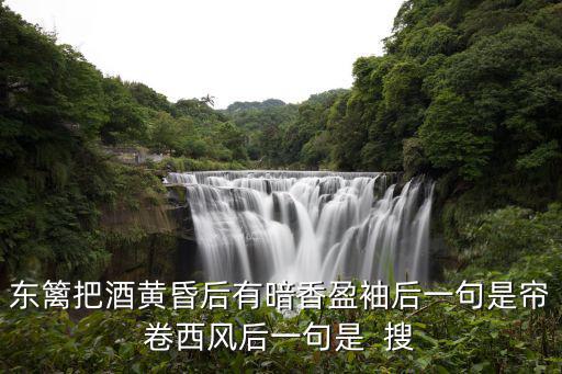 有暗香盈袖，東籬把酒黃昏后有暗香盈袖后一句是簾卷西風后一句是  搜