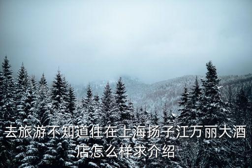 去旅游不知道住在上海揚子江萬麗大酒店怎么樣求介紹