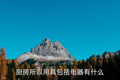 廚房所以用具包括電器有什么