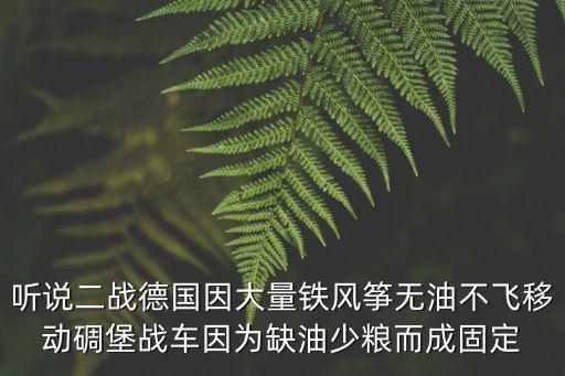 聽說二戰德國因大量鐵風箏無油不飛移動碉堡戰車因為缺油少糧而成固定