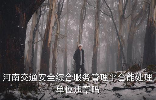 河南省交通安全綜合服務管理平臺，從交通安全綜合服務管理平臺信息查詢豫e578無此機動車信息怎么辦