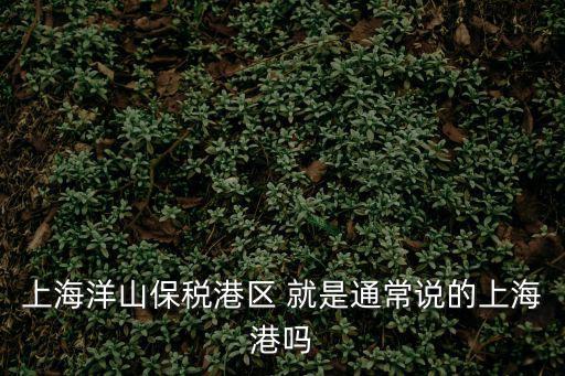 上海洋山保稅港區(qū) 就是通常說的上海港嗎
