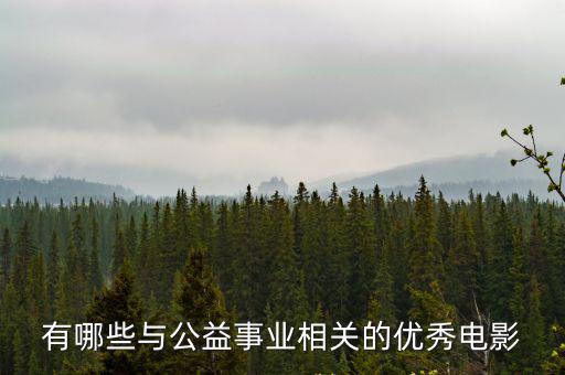 有哪些與公益事業(yè)相關(guān)的優(yōu)秀電影